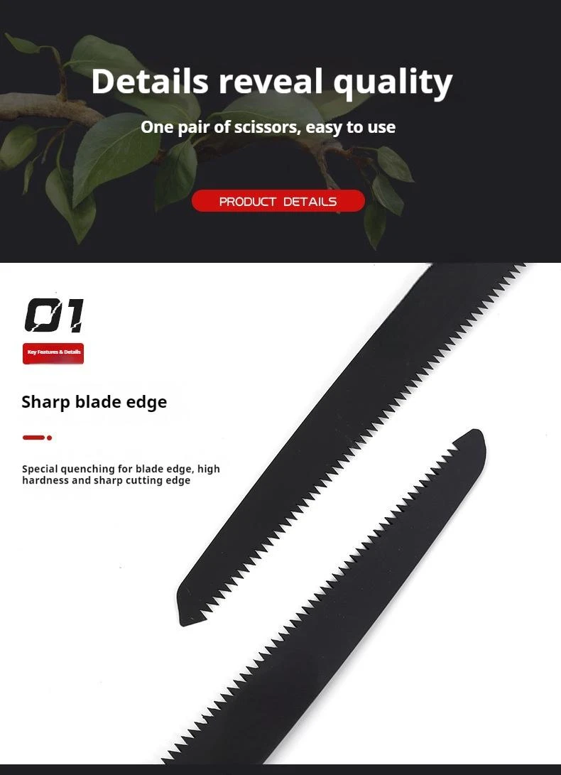 product-790-1091 product-790-1091